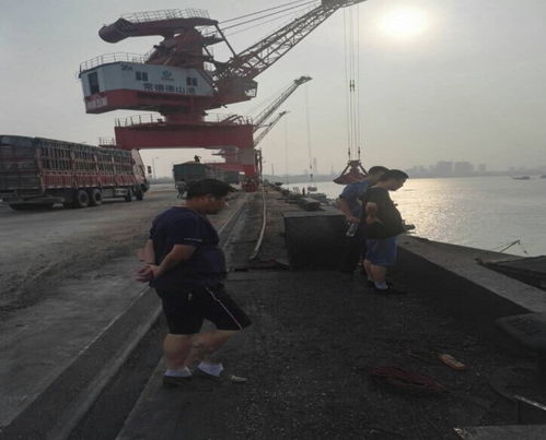 市交通運輸局赴岳陽港、常德港考察學習碼頭建設與管理經驗